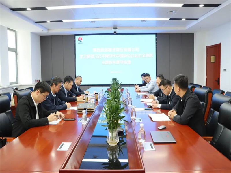 公司開展學(xué)習(xí)貫徹習(xí)近平新時(shí)代中國(guó)特色社會(huì)主義思想主題教育督導(dǎo)檢查.jpg