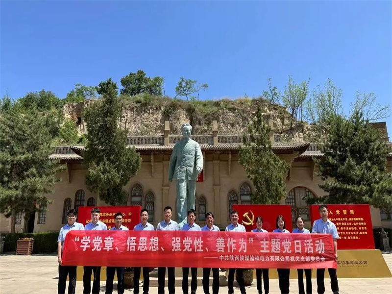 榆神電力公司開展“學(xué)黨章、悟思想、強(qiáng)黨性、善作為”主題黨日活動(dòng).jpg
