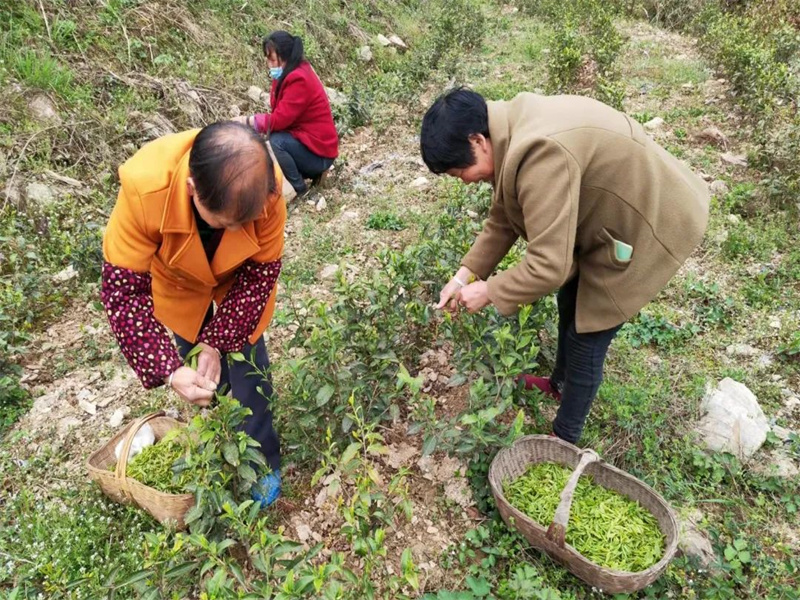 榮譽(yù)丨公司在2022年度省級定點(diǎn)幫扶考核中獲多項(xiàng)榮譽(yù)（3）.jpg