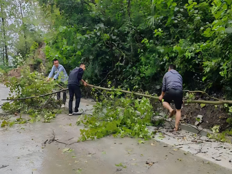 221758533603500292.png 728427675ca9ff366b8808cc4ff97b76(1).png