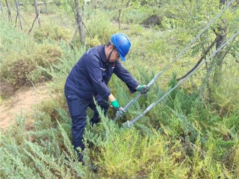 251758785481854184.jpg 2.jpg